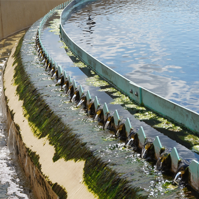 Waste Water Treatment Plant Manufacturer in India